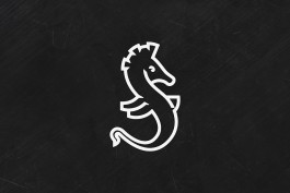 Romain Belotti - Graphiste à Lyon