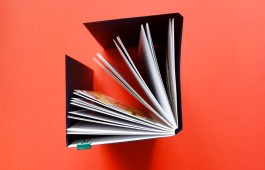 Romain Belotti - Graphiste à Lyon