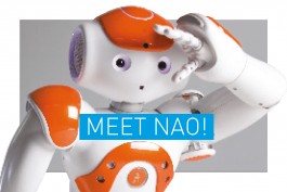 Romain Belotti - Graphiste à Lyon