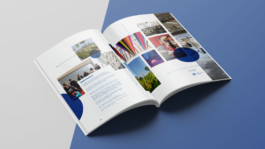 Romain Belotti - Graphiste à Lyon