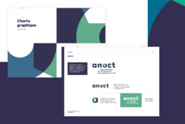 Romain Belotti - Graphiste à Lyon