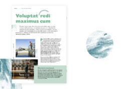 Romain Belotti - Graphiste à Lyon