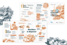 Romain Belotti - Graphiste à Lyon